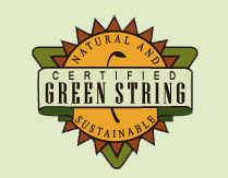 Green String Institute
