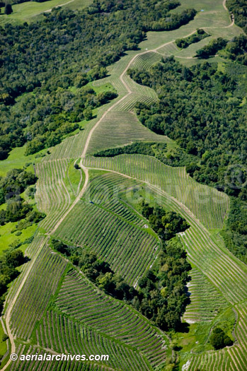 aerial photograph of Sonoma County mountain vineyard tracks, aerial photograph, photography, Napa Valley, vineyard, CA; AHLB2998 ADM2RF, © aerialarchives.com