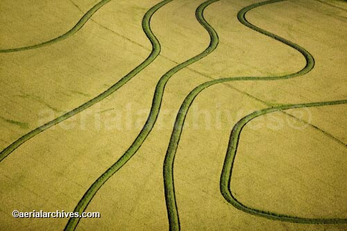 © aerialarchives.com,   Texas Rice Field ,  stock aerial photograph, aerial
photography, AHLB3085.jpg