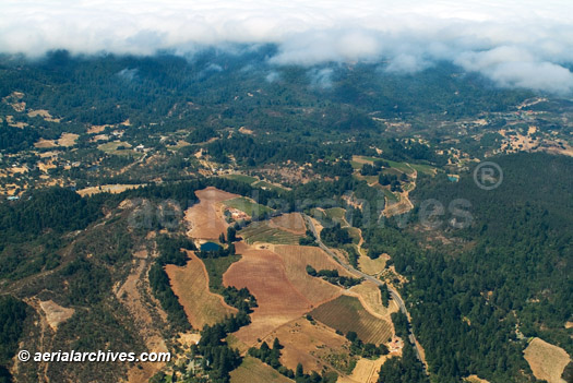 © aerialarchives.com aerial photograph vineyards and fog, Sonoma County, California, AN6WKN, AHLB3690 