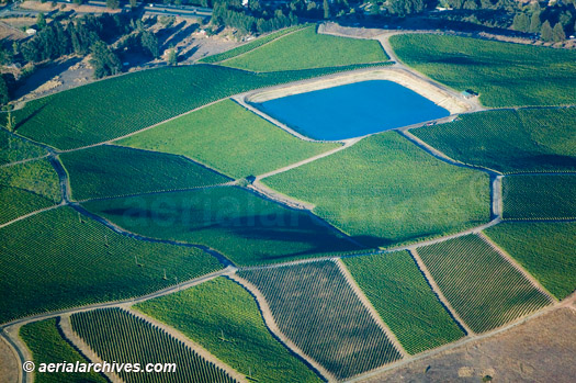 © aerialarchives.com Reservoir at Sonoma County Vineyard north of Petaluma, aerial photograph, photography, Sonoma Valley, vineyard, CA; AHLB3700, ADM2RF