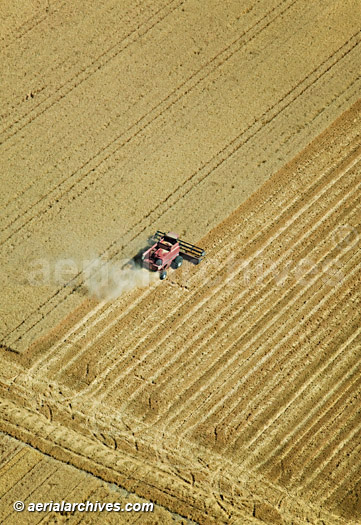 © aerialarchives.com  aerial photograph harvesting hay California central valley; AHLB4913, B45872