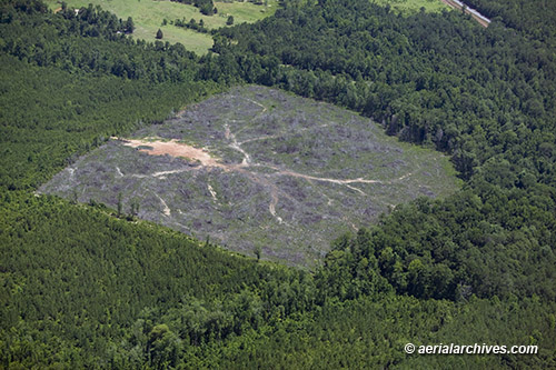 © aerialarchives.com, forest clear cutting, Alabama aerial photograph, AHLB5286, B6MAE4