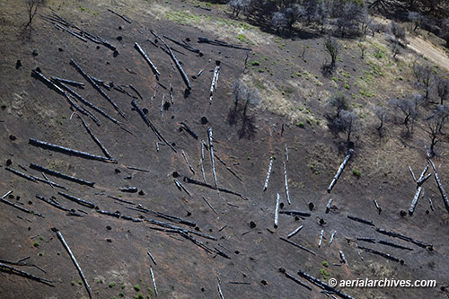 © aerialarchives.com, clear cutting invasive species aerial photograph
AHLB7020 BG0X6P