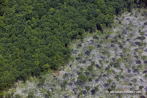 © aerialarchives.com, forest thinning Pennsylvania aerial photograph, BN26KY, AHLB7492
