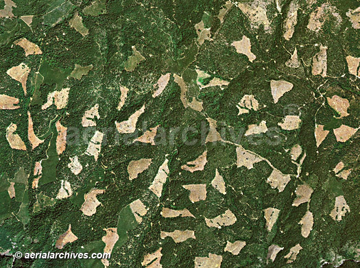 forest clear cutting, El Dorado California aerial photograph © aerialarchives.com