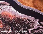 © aerialarchives.com Salt Ponds aerial photograph, ID: AHLB2963.jpg