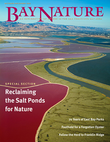 © aerialarchives.com, Bay Nature, magazine cover, editorial, aerial photography, salt pond, aerial, 