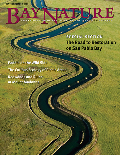 © aerialarchives.com, Bay Nature, magazine cover, editorial, aerial photography, Bush Slough 