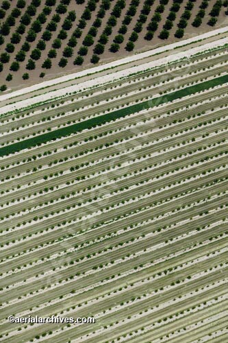 © aerialarchives.com,   Southwest USA ,  stock aerial photograph, aerial 
photography, AHLB3108.jpg