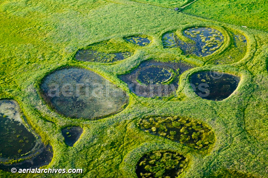 © aerialarchives.com aerial photograph of vernal pool wetlands Sonoma County, AHLB3518, AN6F0K