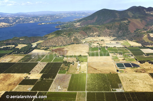 © aerialarchives.com Kelseyville, CA Vineyards and Mt. Konocti, Clearlake, Lake county, aerial photograph, photography, CA;<BR>
AHLB3605.jpg, ADM2RF