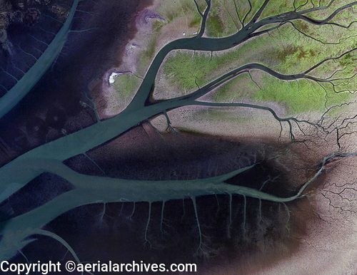 © aerialarchives.com aerial map of tidal channels,  Humboldt Bay near Arcata, AHLV4306 