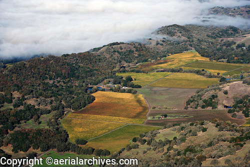 © aerialarchives.com aerial photograph, coastal vineyard, Mendocino county, AHLB8016, C365K6